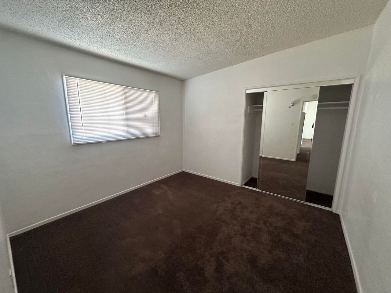 509 Sahara Dr - Photo 6 of 14