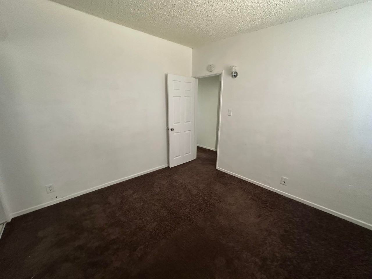 509 Sahara Dr - Photo 7 of 14