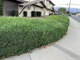 featured image of 2401 2401 - 2423 Pattiglen Avenue