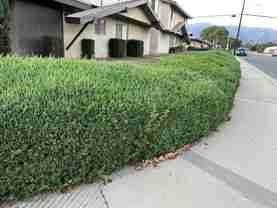 Pattiglen Ave - Photo 1 of 1