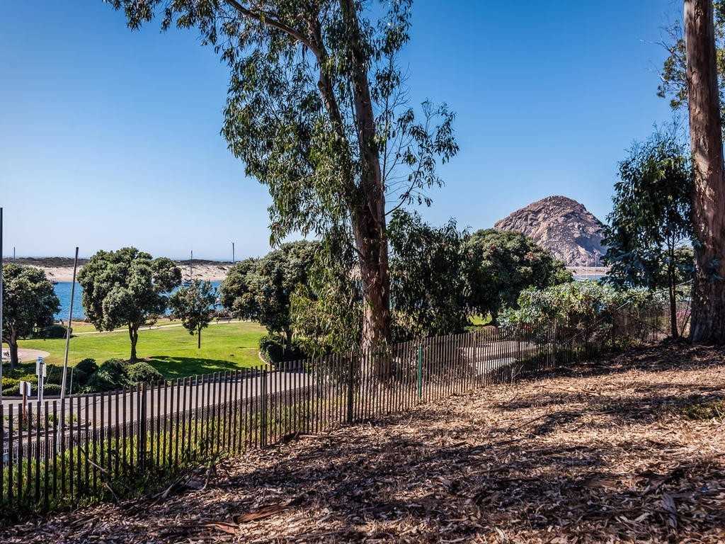 337 Main St - Photo 7 of 24