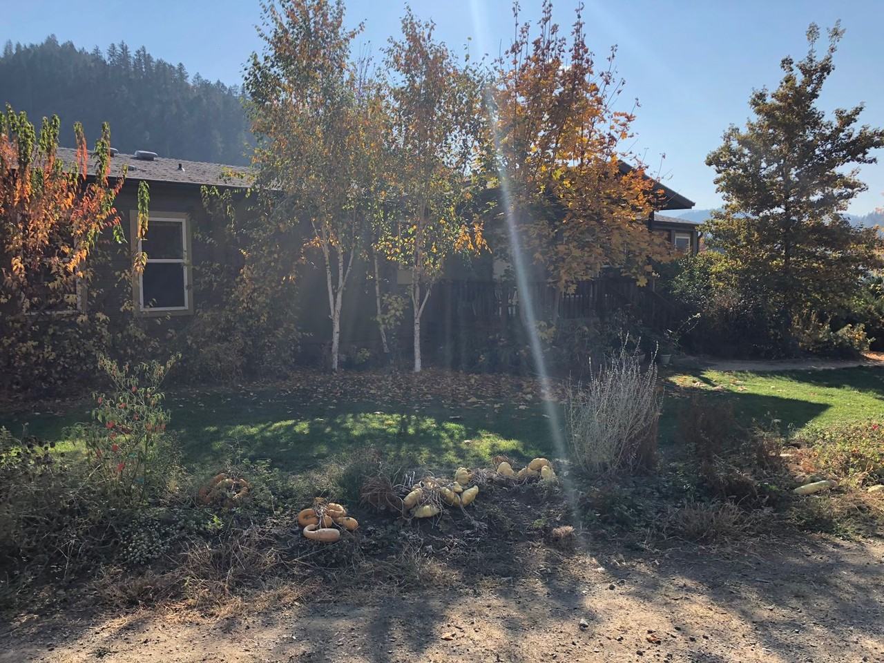 360 Decker Ln - Photo 3 of 16