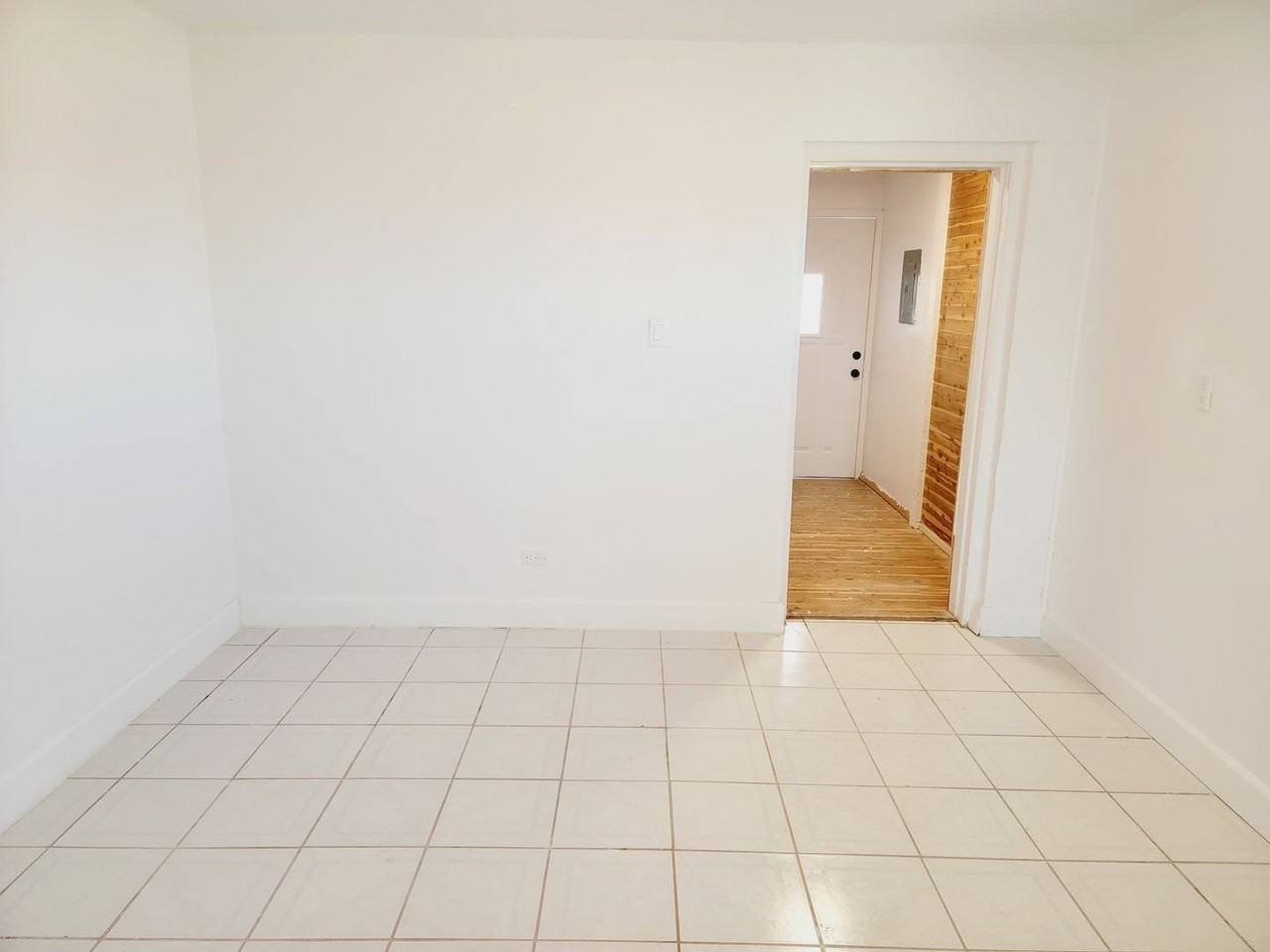 Catnip, 2816  (Group 1) - Photo 3 of 12