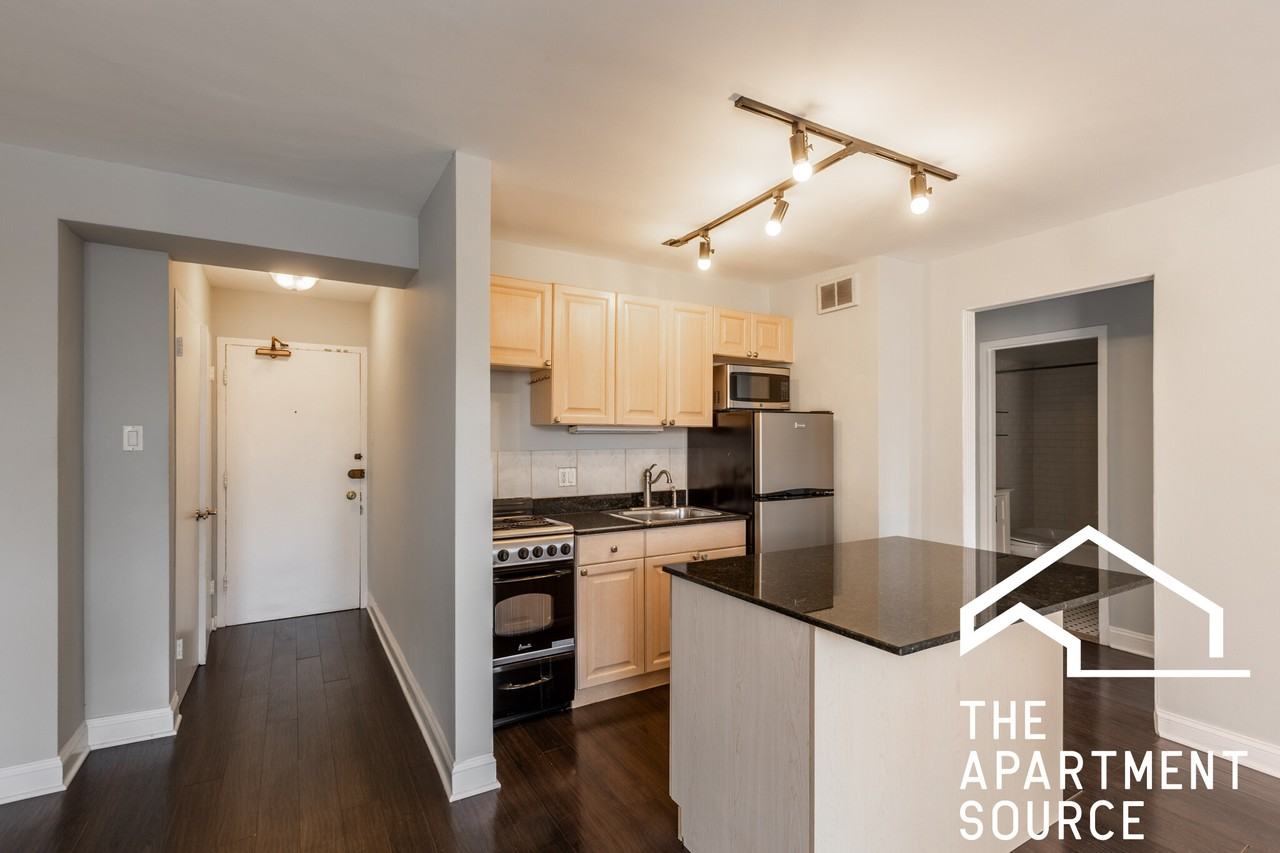 445 W Wellington Ave #01F