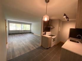 3720 Minnehaha Ave S - Photo 1 of 1