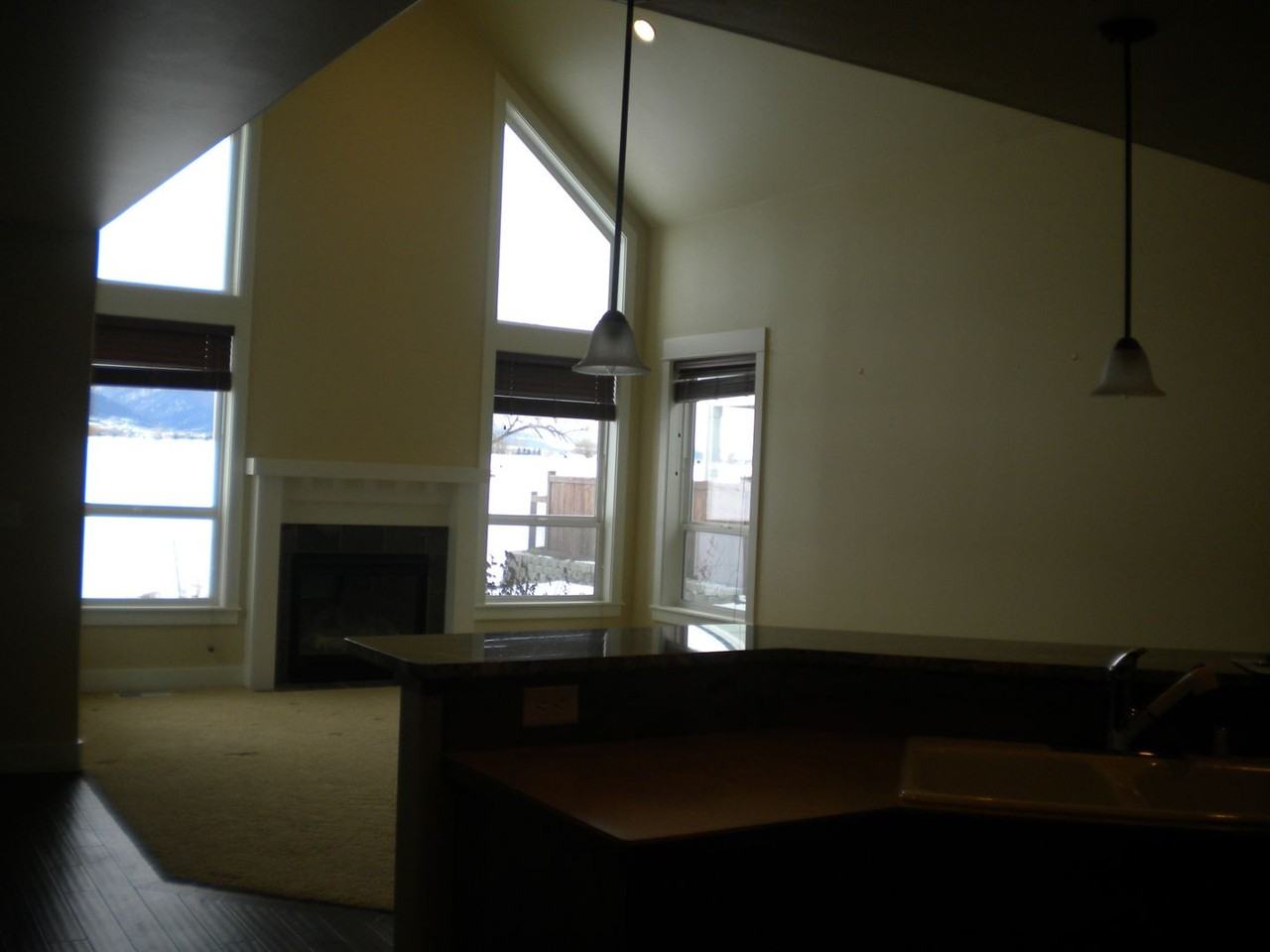 1124 Alder Creek Dr - Photo 2 of 14