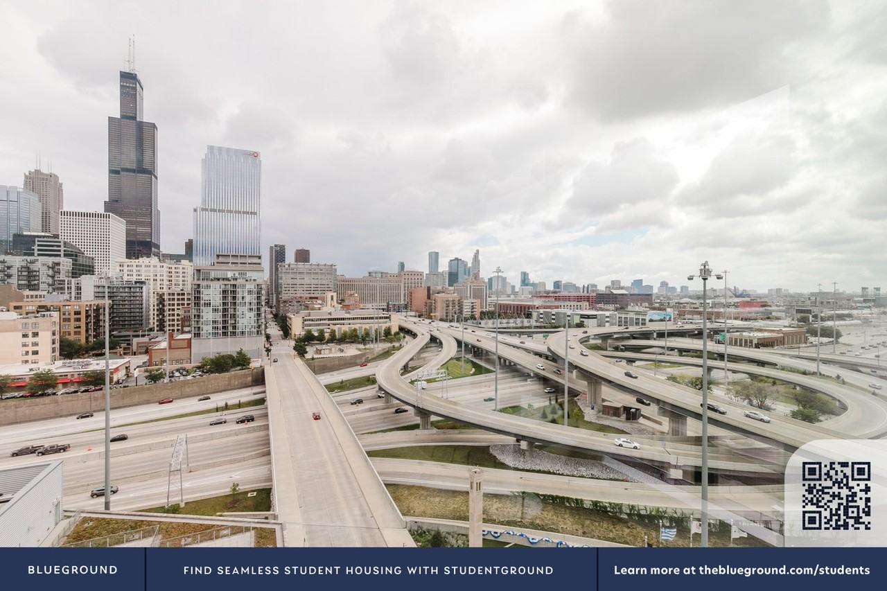 808 West Van Buren Street - Photo 7 of 49