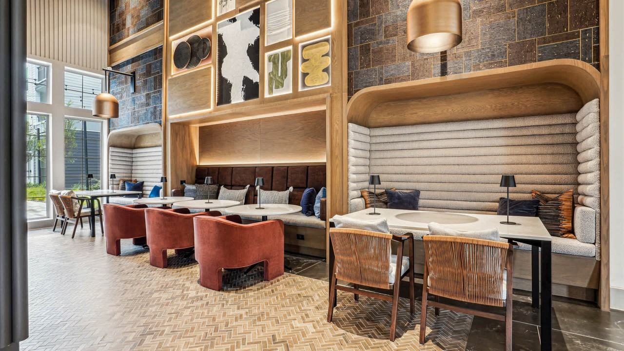 Remy - Photo 4 of 50