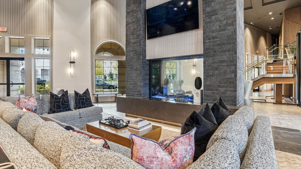 Remy - Photo 5 of 50