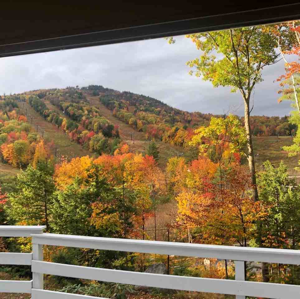 11 Birch Glen Dr - Photo 2 of 8