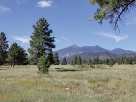 featured image of 1201 E Ponderosa Pkwy