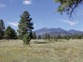 1201 East Ponderosa Parkway - Photo 1 of 1