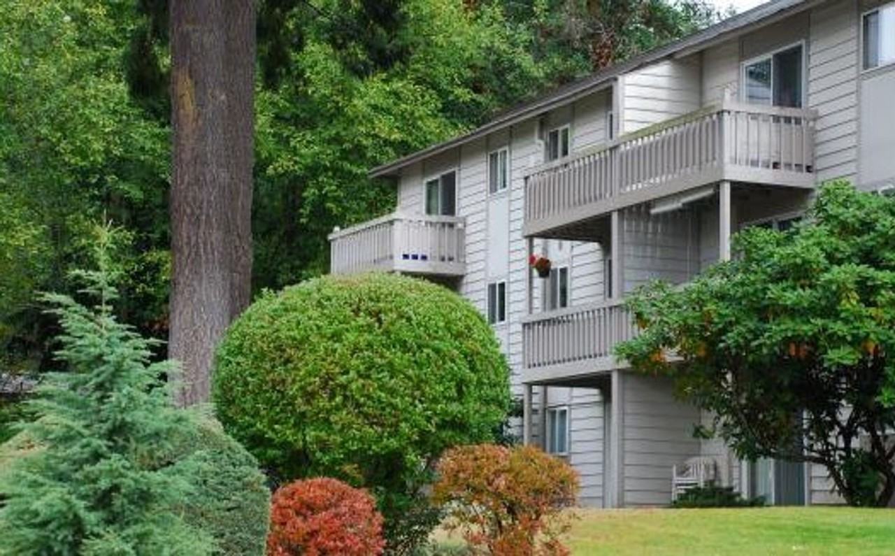 Steilacoom Woods - Photo 2 of 10