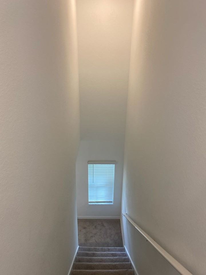13949 Lilac Sky Ter - Photo 5 of 41