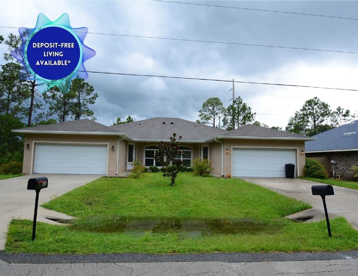 16 Serbian Bellflower Trl