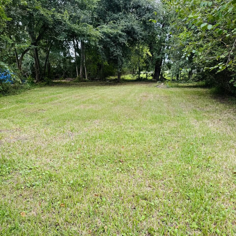 3139 Waverly St - Photo 2 of 10