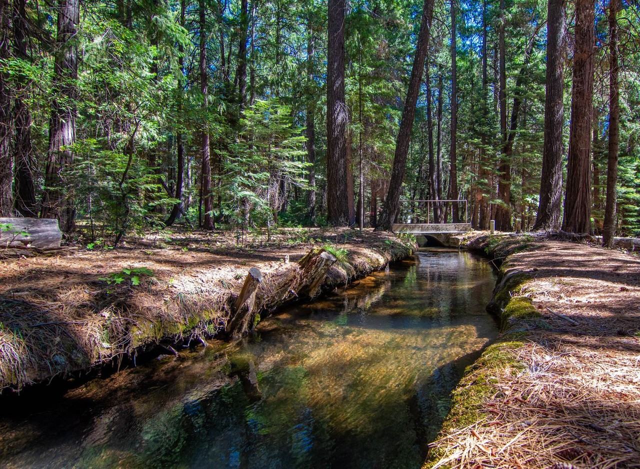 7528 Leaning Cedar Lane - Photo 2 of 40