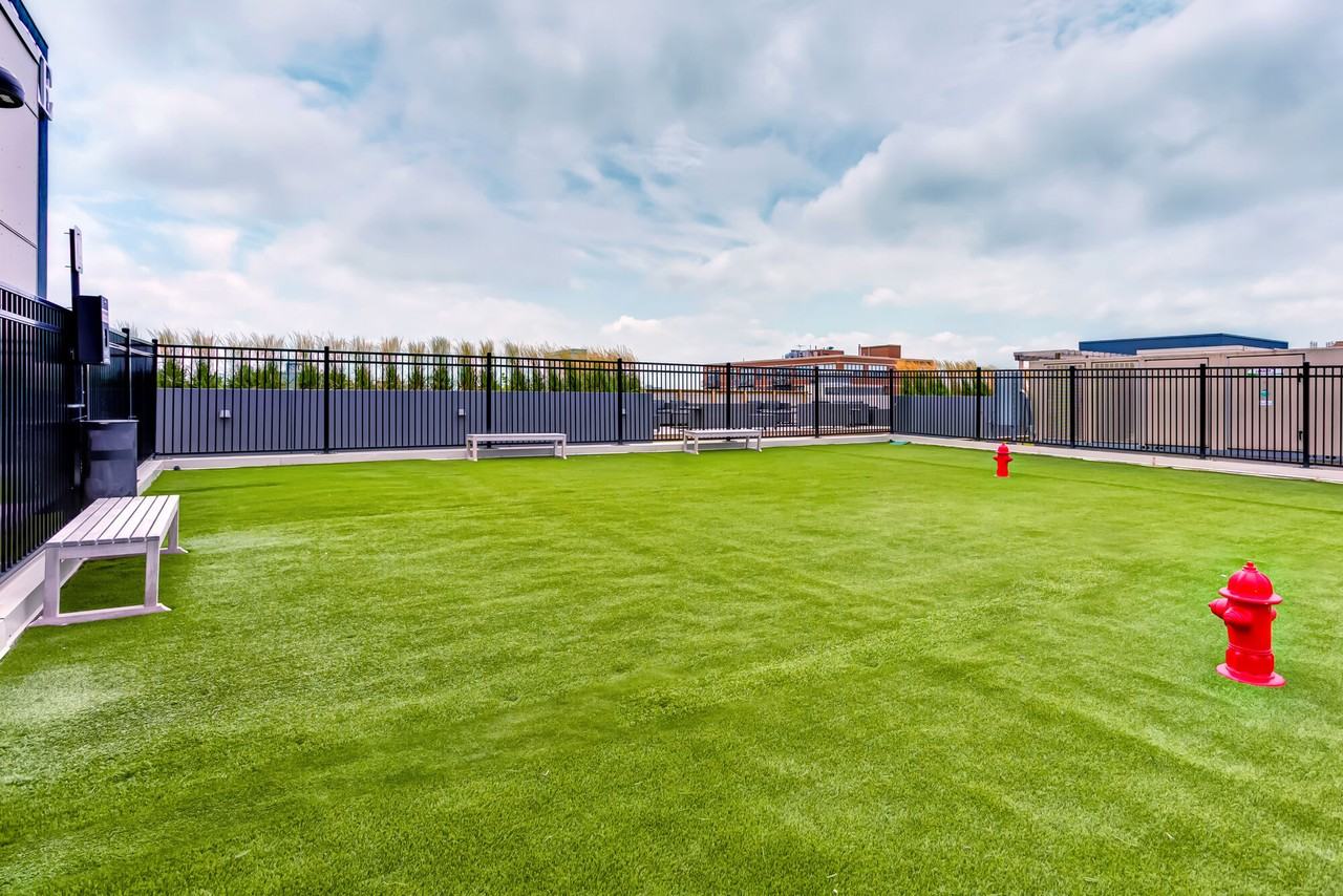 Luxe on Madison - Photo 5 of 37