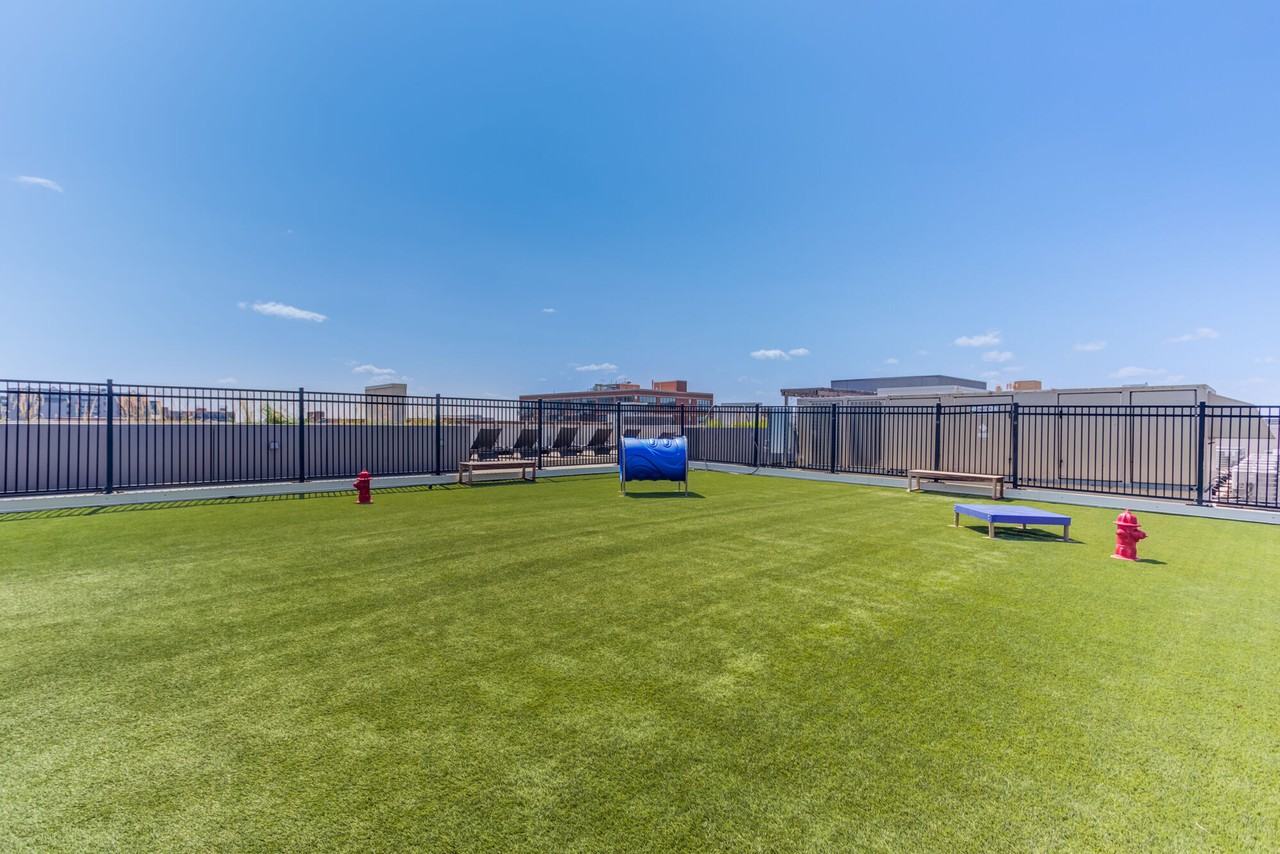 Luxe on Madison - Photo 6 of 37