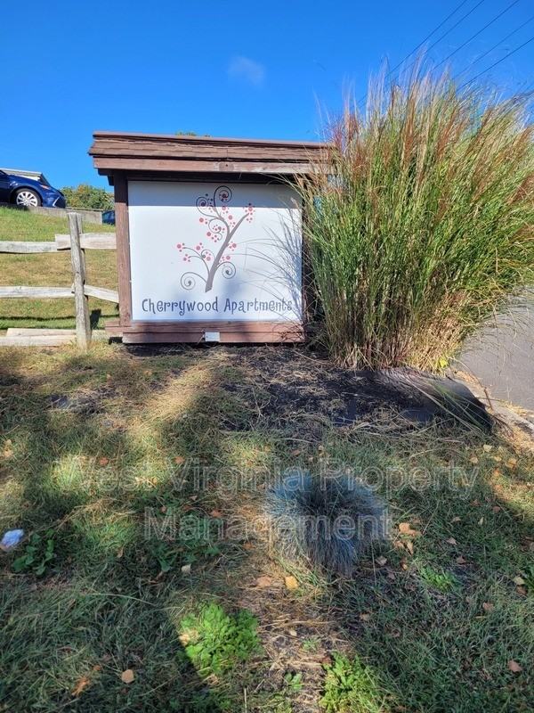 12 Cherrywood Ter - Photo 4 of 12