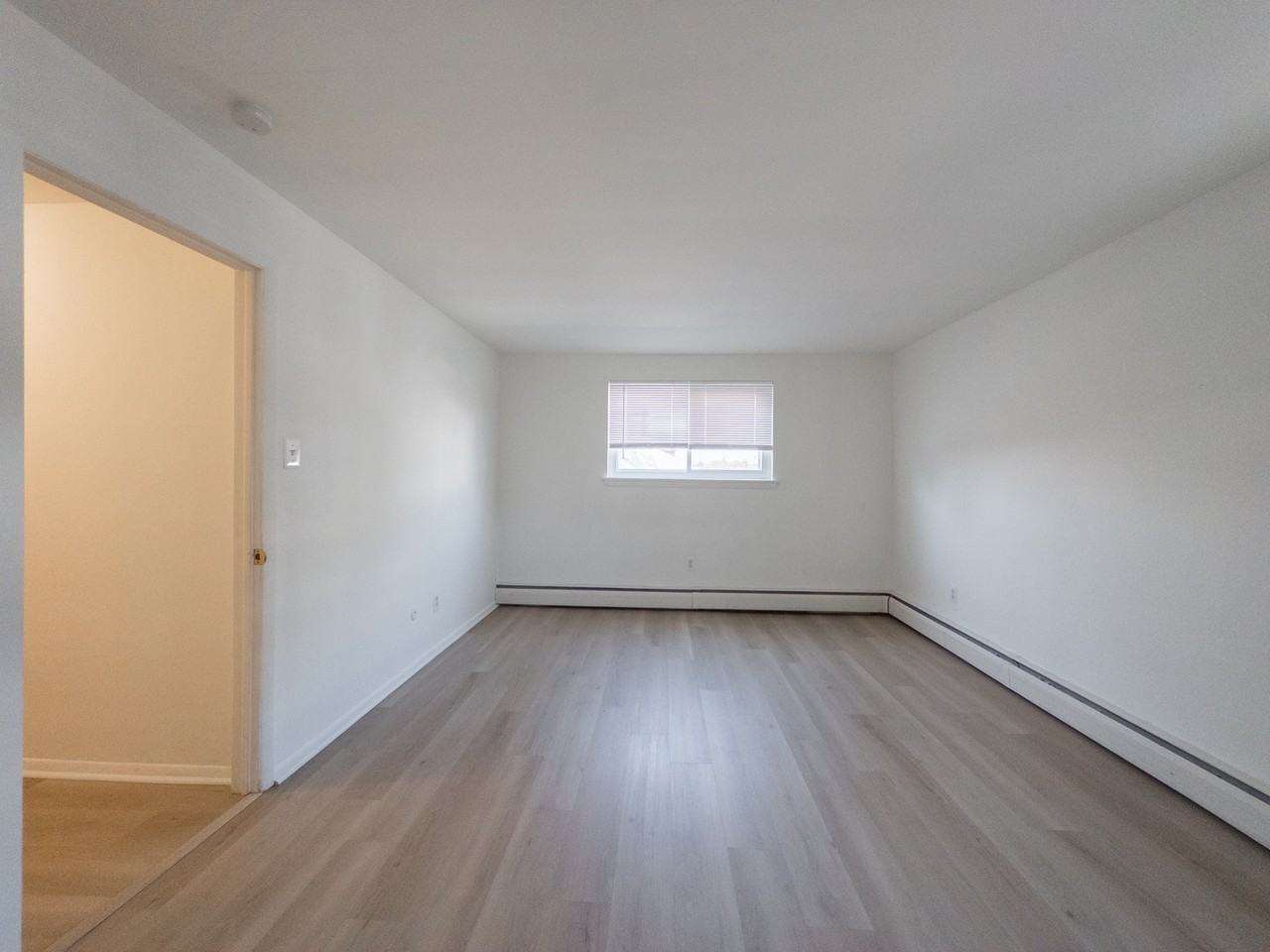 Magnolia's Corner - Photo 7 of 23