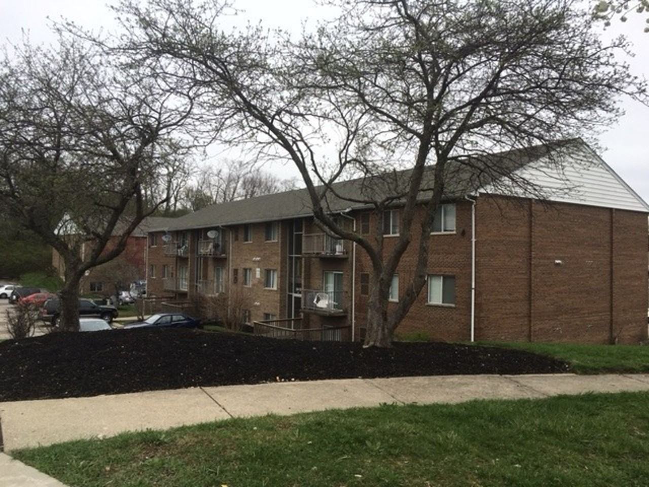 3974 Yearling Ct #10 - Photo 2 of 14