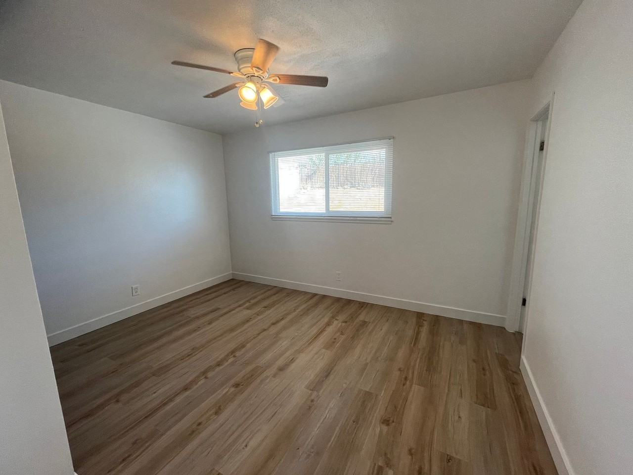 1213 Carson St - Photo 5 of 11