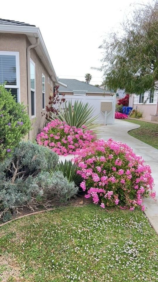 4836 Pescadero Ave - Photo 2 of 19
