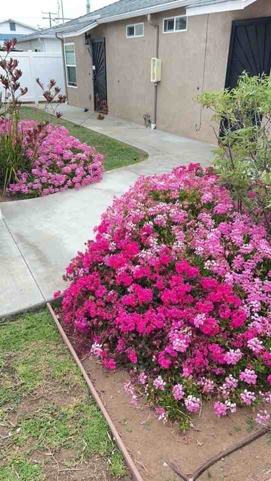 4836 Pescadero Ave - Photo 4 of 19