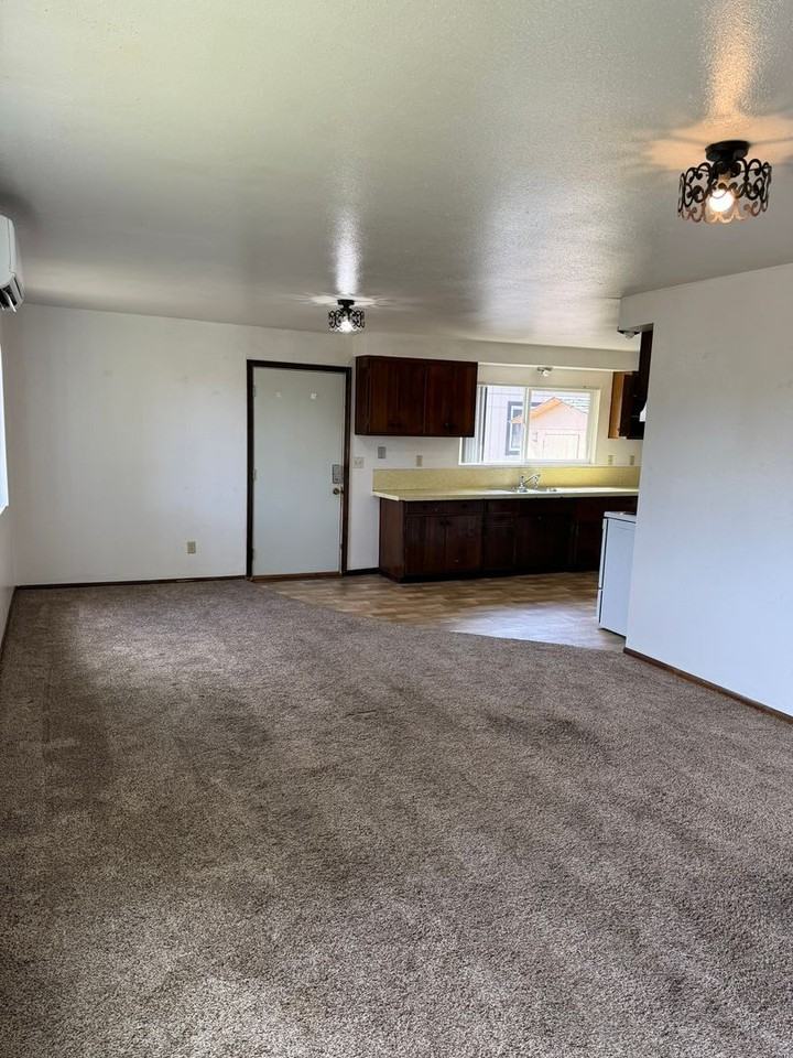 285 E 11th Ave - Photo 4 of 19