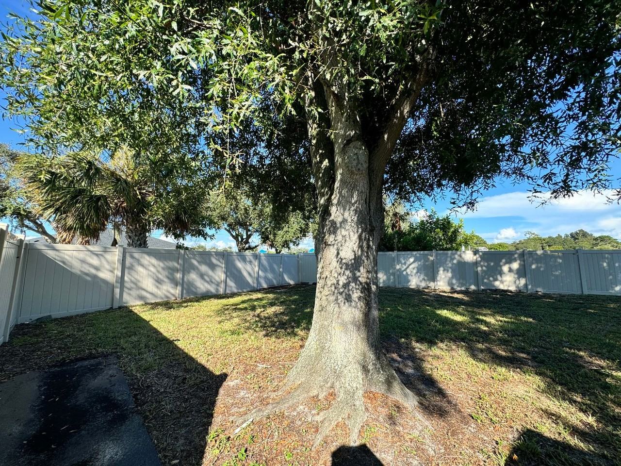 305 Bay Vista Avenue - Photo 4 of 41