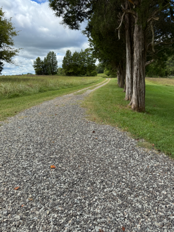 3900 Johnson Road - Photo 5 of 18