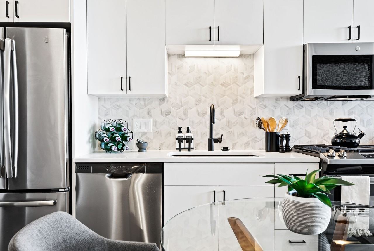 Logan - Photo 3 of 43