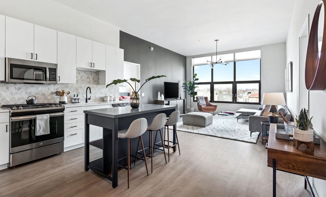 Logan - Photo 6 of 43