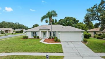 10259 Velvetseed Cir  