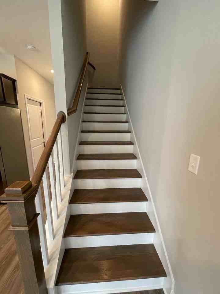 4835 Moon Lake Ln - Photo 3 of 24