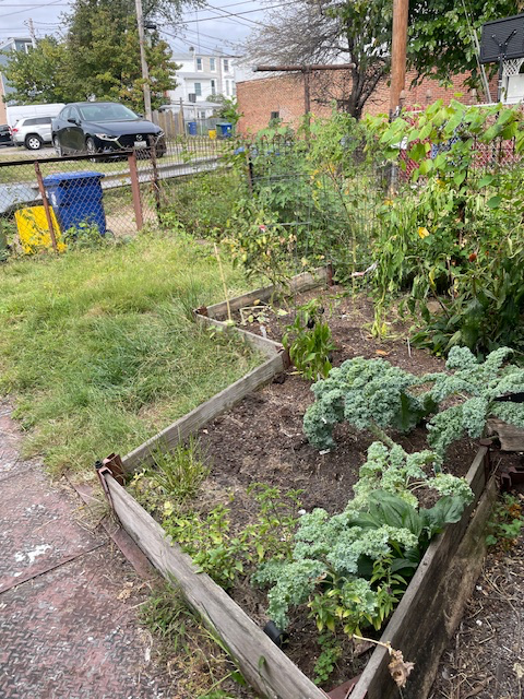 3308 Keswick Rd - Photo 3 of 8