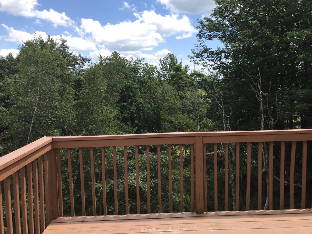 1664 Glade Dr #1 family - Photo 4 of 21