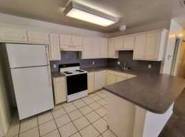 featured image of 3900 Stuart Rd