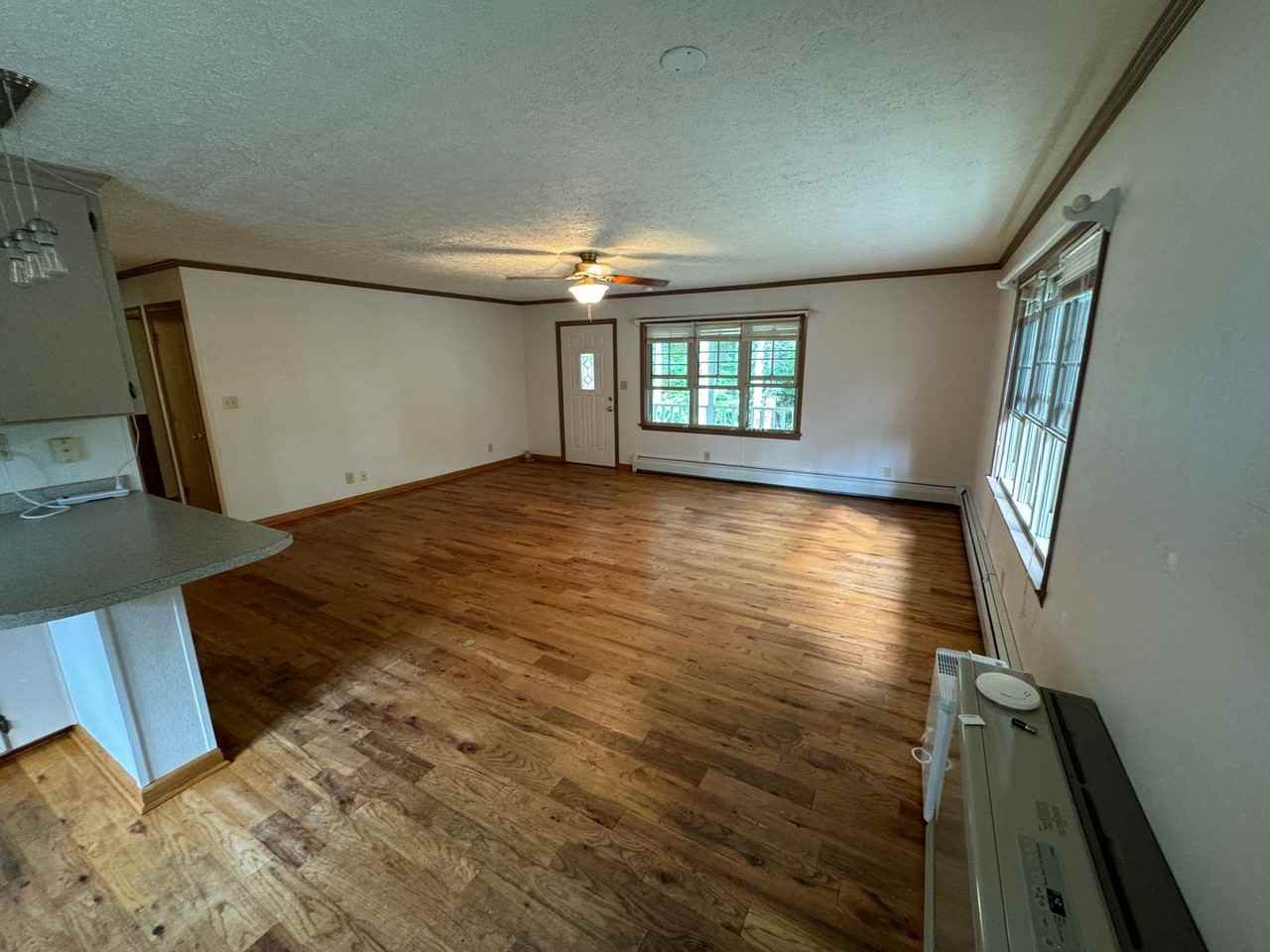 145 Pine Arbor - Photo 3 of 18