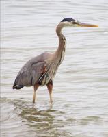 featured image of 475 S Bay Blvd