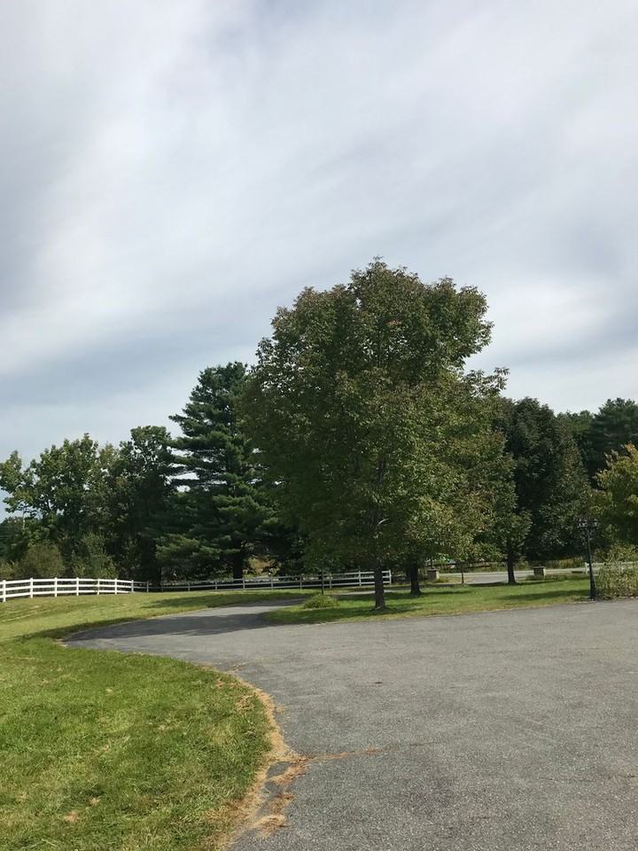 236 Mountfort Rd - Photo 3 of 30