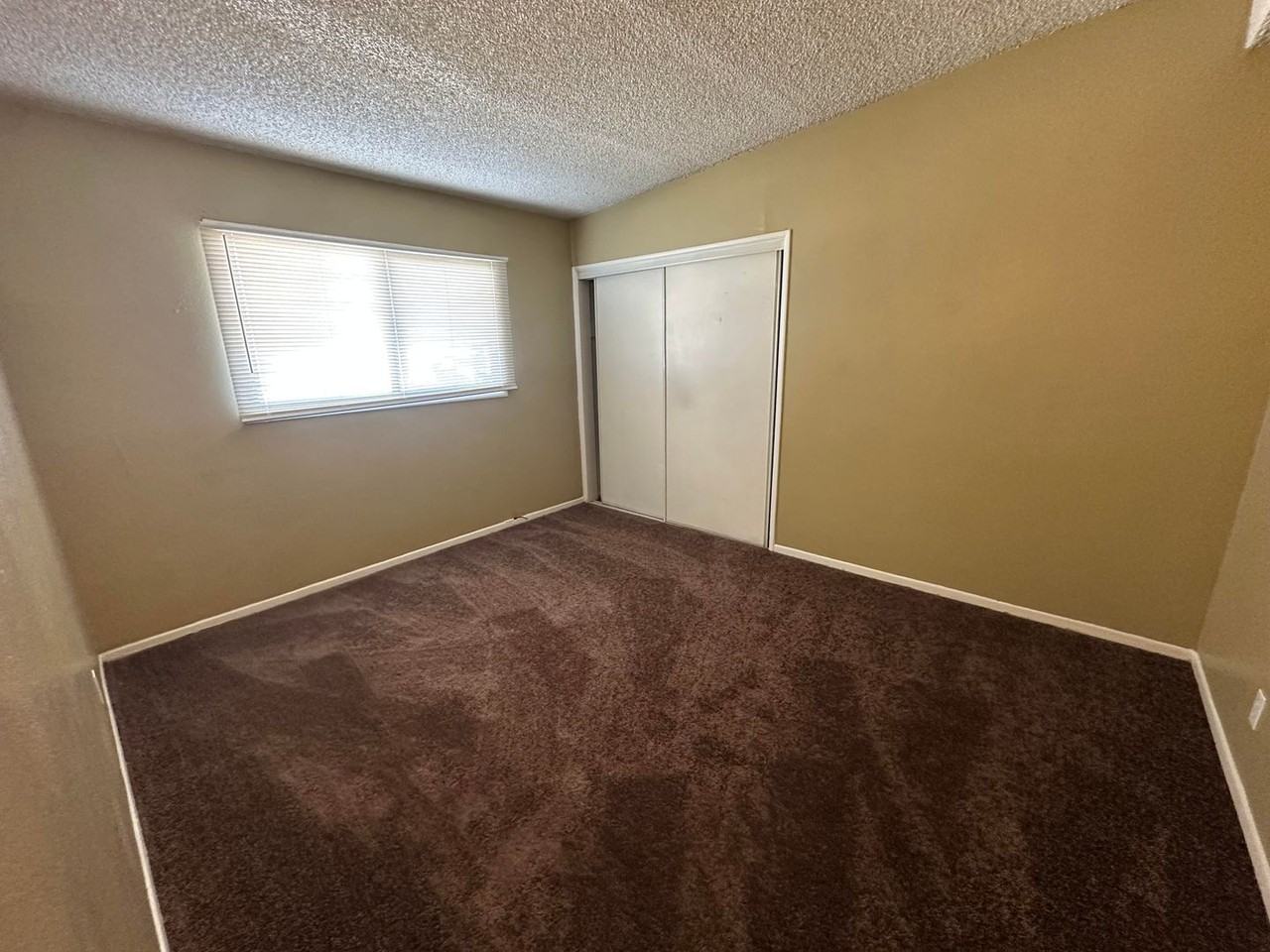 316 Palm Dr - Photo 5 of 17