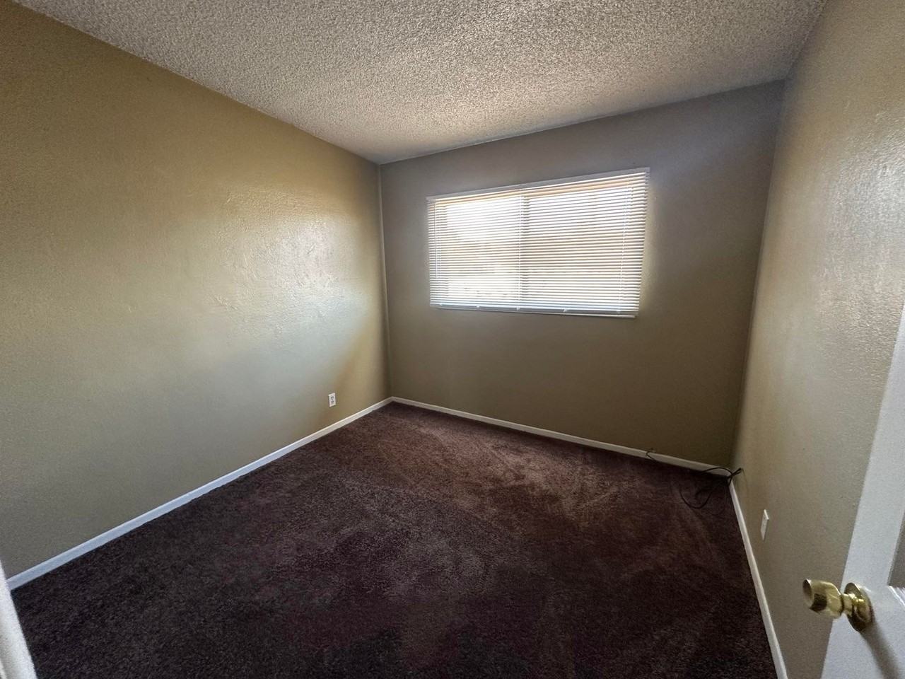 316 Palm Dr - Photo 7 of 17