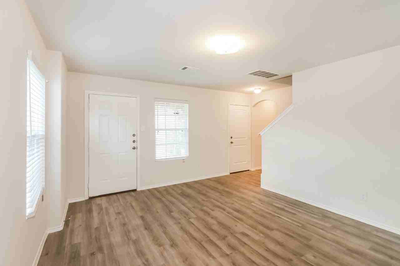 Camellia - Photo 2 of 45