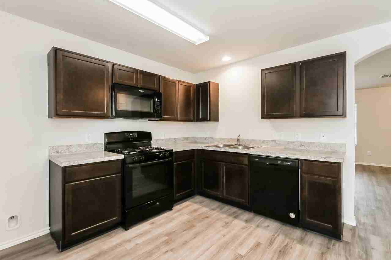 Camellia - Photo 4 of 45