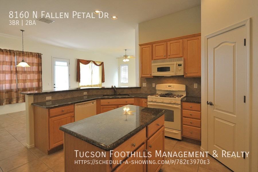 8160 N Fallen Petal Dr - Photo 7 of 24