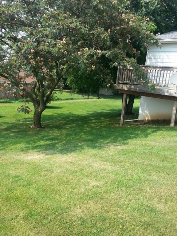 641 Zarger Rd - Photo 2 of 9