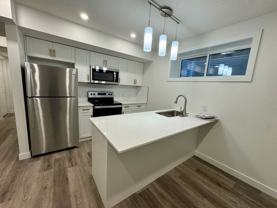 22120 80 Ave Nw Bsmt #Bsmt - Photo 1 of 1