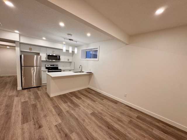 22120 80 Ave Nw Bsmt #Bsmt - Photo 3 of 20